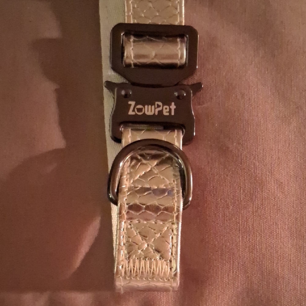 NWOT! ZowPet Gold Dog Collar
